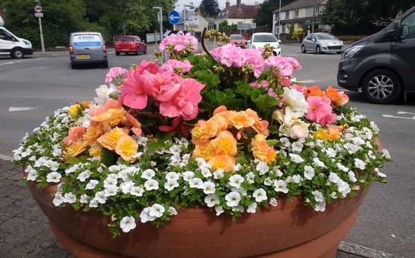 Floral Display