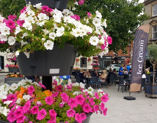 Floral Display
