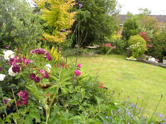 One of the several gardens open
