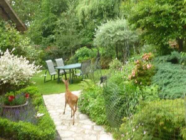 Garden Pest - just hours before opening