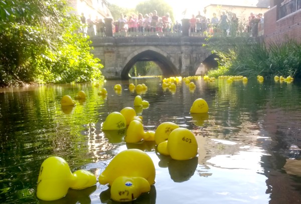 A sedate pace this year, due to the low water level