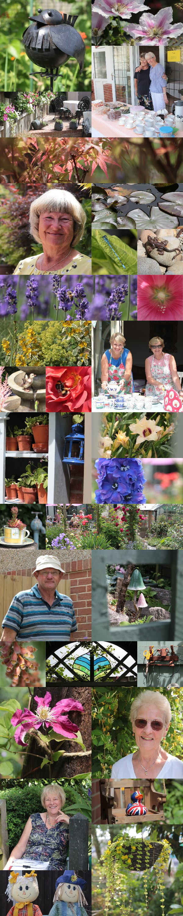 images from the gardens