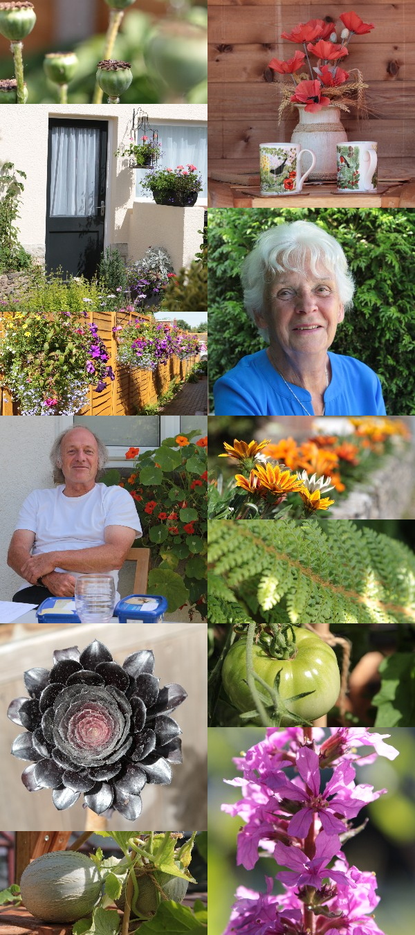 images from the gardens