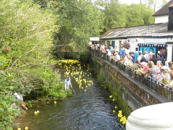 duck race