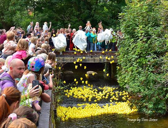 Duck Race