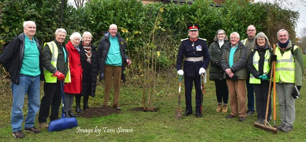 Tree planting