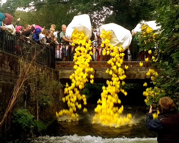 duck race