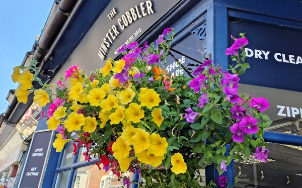 Summer Floral Display