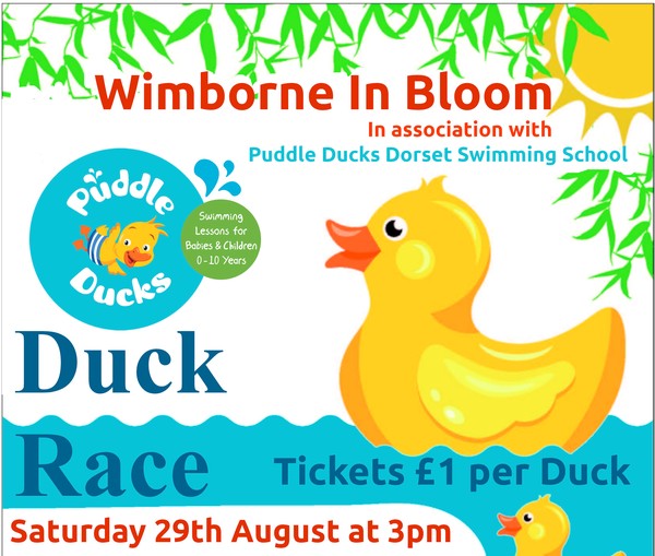 duck race poster