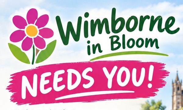 WIB Needs You!